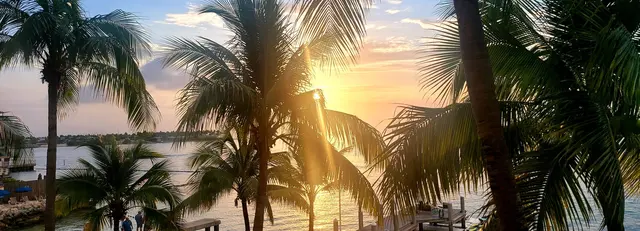 Palm trees framing another beautiful sunset