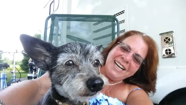 Gizmo · June 29, 2014