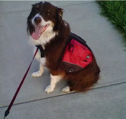 Killian · June 27, 2010