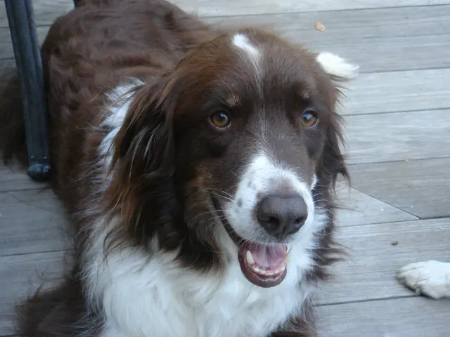 Killian · July 2, 2008