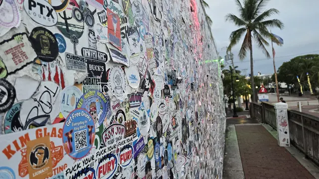Golden hour at the famous Key West sticker wall, palms swaying overhead.