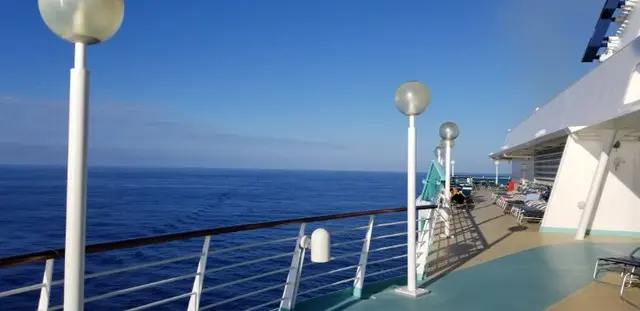 Tampa cruise photo; scenery or people clothed