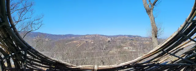 Walking the SkyBridge suspension walkway above the treetops