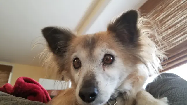 Rita, remembered with love