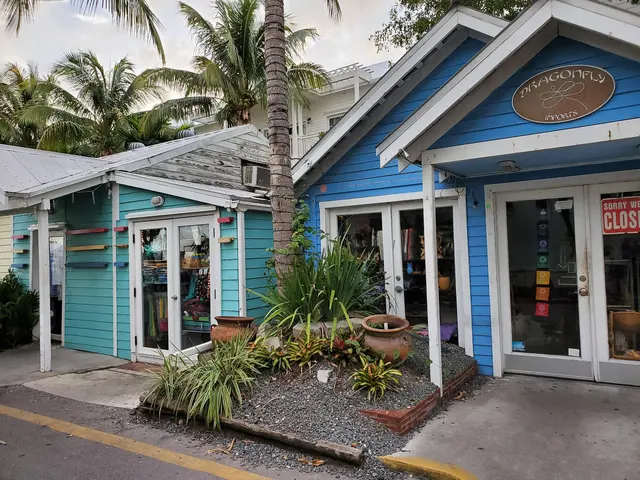 Dragonfly Imports storefront tucked beneath the palms.