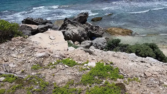 scenic coastal rocks with iguana and ocean