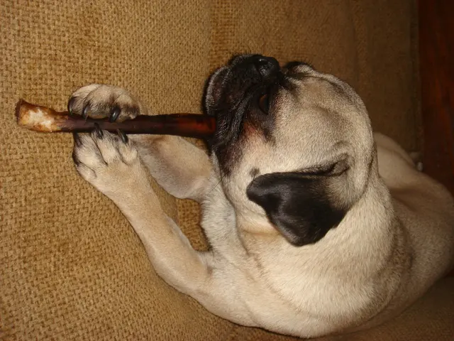 Matee · June 12, 2008