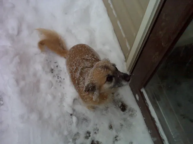 Rita · December 19, 2009