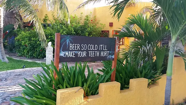 humorous beer sign among palm trees