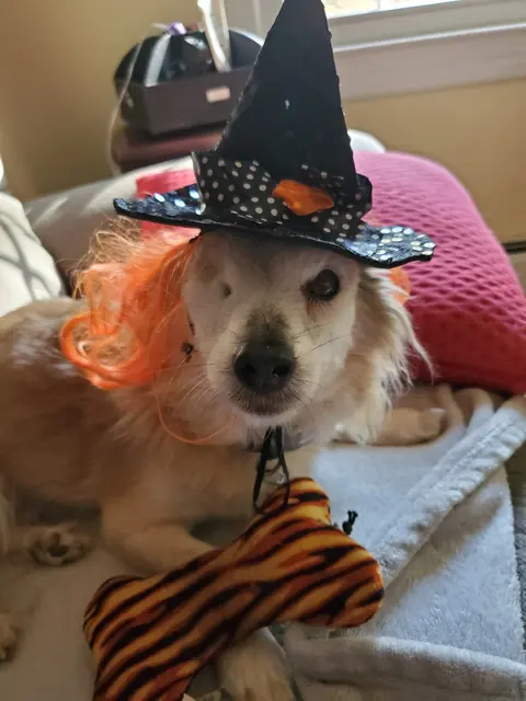 Goldie · October 28, 2019