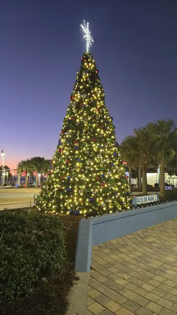 A towering Christmas tree glowing at Plyler Park.