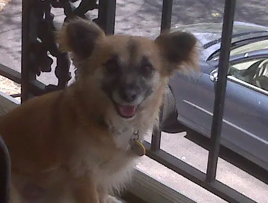 Rita · April 25, 2009