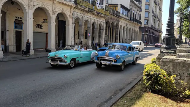 Colorful classic cars lined up along a Havana avenue