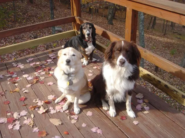 Killian & Hops · November 6, 2005