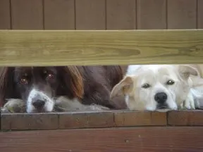 Killian & Hops · October 2, 2005