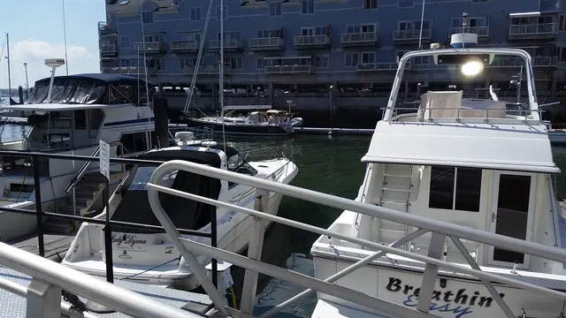 Sailboats and yachts crowd the Portland marina