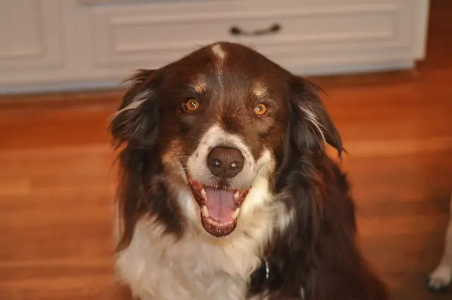 Killian · April 8, 2011