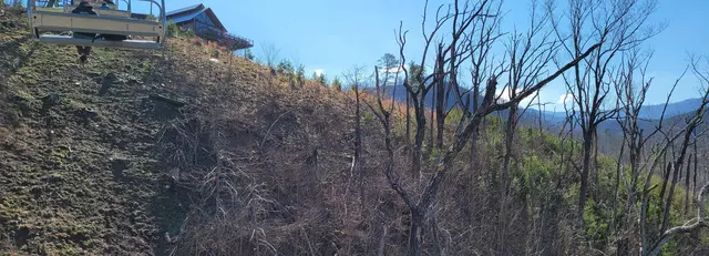 Chairlift view over the wildfire-recovering hillsides