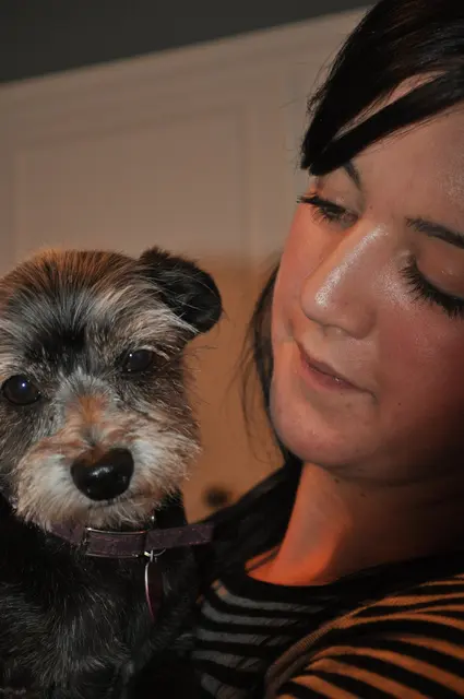 Gizmo · March 3, 2011