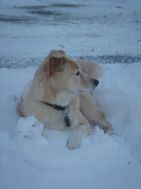 Hops · December 10, 2005
