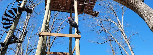 Rappelling down from the treetop platform