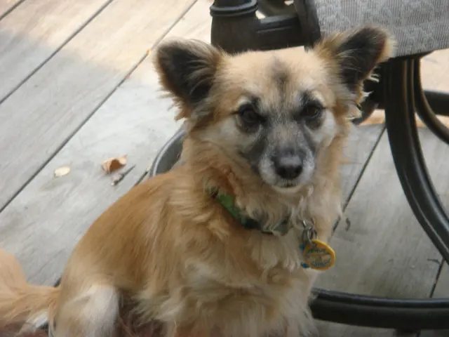 Rita · June 28, 2009