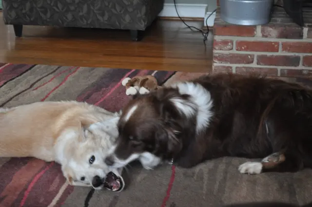 Killian & Hops · December 4, 2010