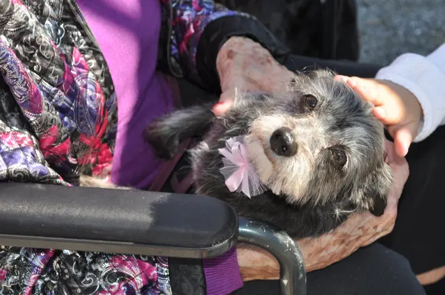 Gizmo · September 17, 2010