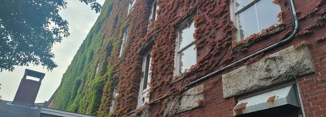 Ivy-covered brick facade in a charming coastal town