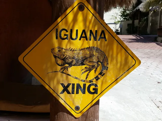 iguana crossing sign