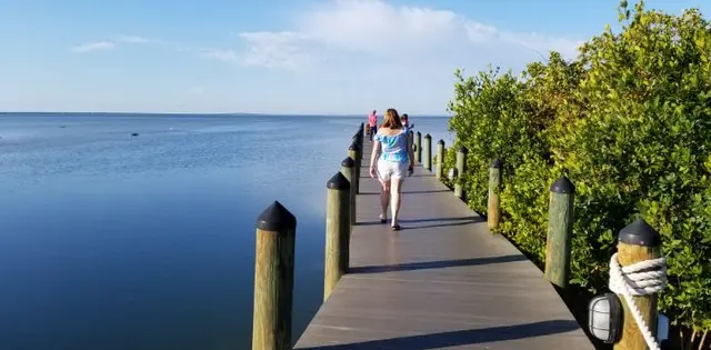 Tampa cruise photo; scenery or people clothed
