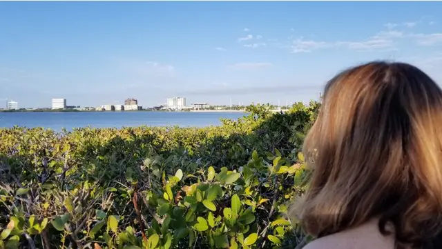 Tampa cruise photo; scenery or people clothed