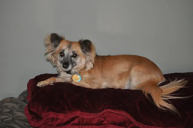 Rita · April 8, 2010