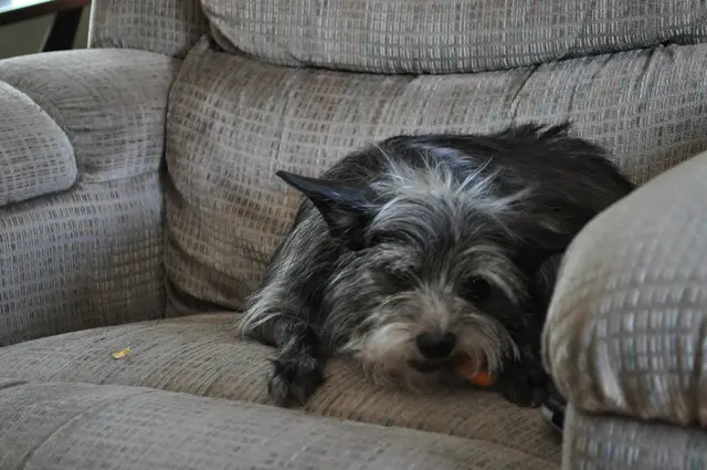 Gizmo · April 17, 2010