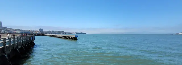 A curious seagull striking a pose on the pier railing.