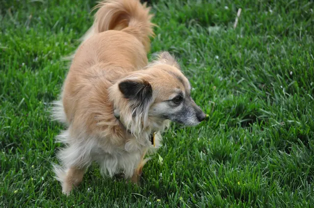 Rita · April 8, 2011