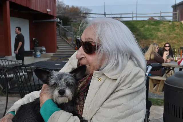 Gizmo · November 19, 2010