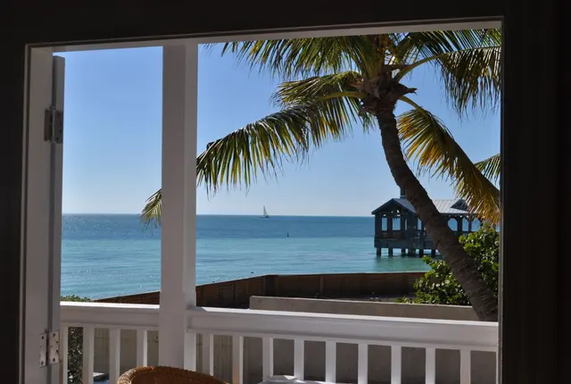 scenic ocean view from balcony with palm tree