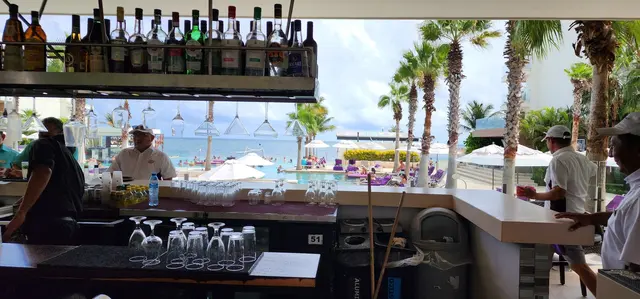 The swim-up pool bar, with the Caribbean stretching out beyond the palms.