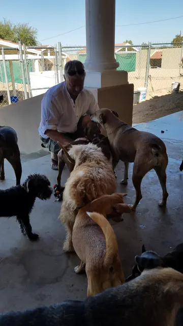 Lori surrounded by a happy pack of dogs