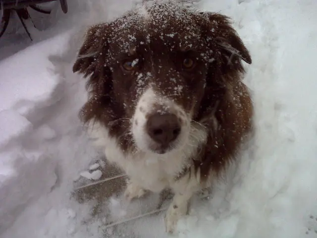 Killian · December 19, 2009