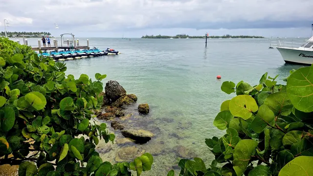 Boats at the Key West marina