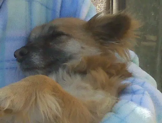 Rita · April 17, 2009
