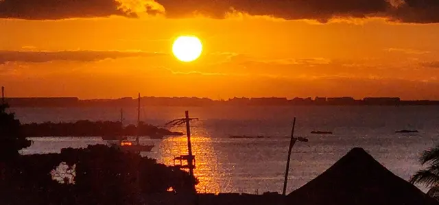 Golden hour over the marina, boats silhouetted against the sunset.