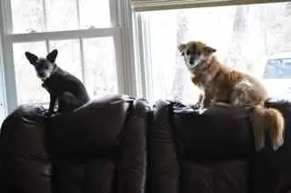 Gizmo & Rita · March 12, 2011