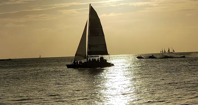 Sailboats silhouetted against the sunset