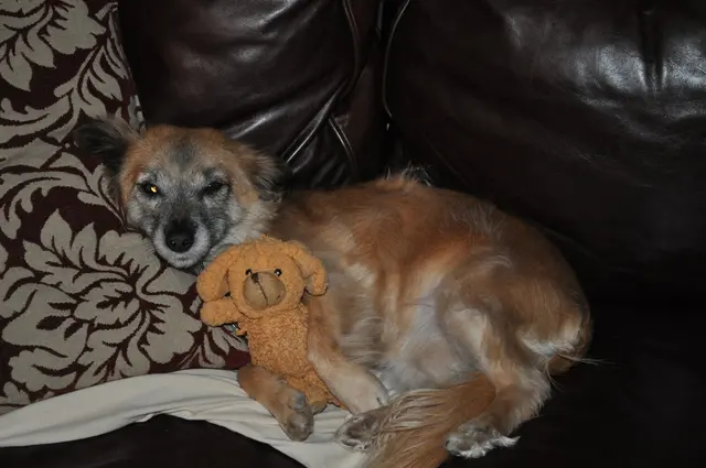 Rita · March 4, 2011