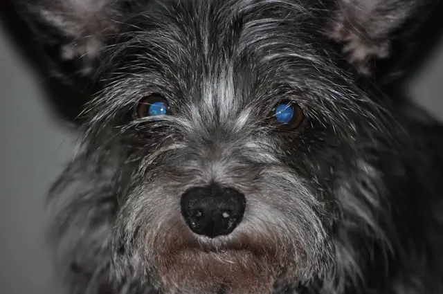 Gizmo · April 18, 2010