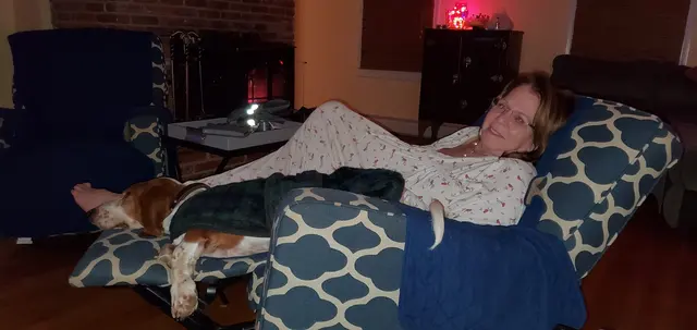 Fireside with the basset hound, back home